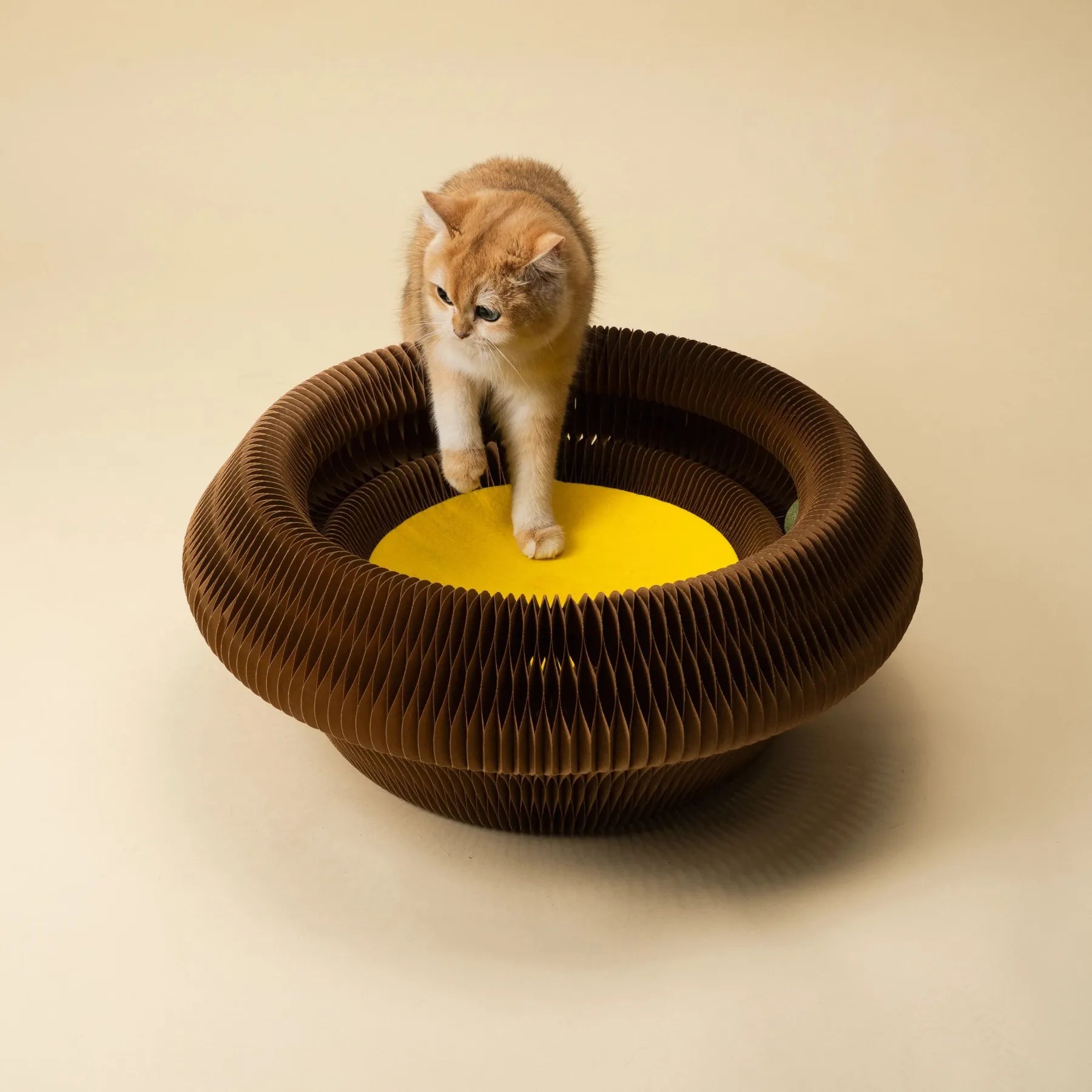 PP Lab - Puff Pastry Egg Tart | Cat Bed | 酥皮蛋撻 | 玩樂貓床 Bite Me