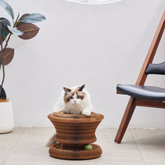 PP Lab - Puff Pastry Egg Tart | Cat Bed | 酥皮蛋撻 | 玩樂貓床 Bite Me