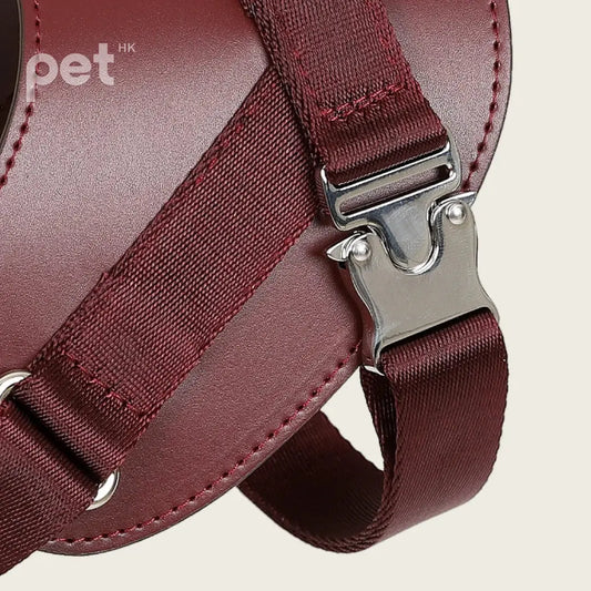 Saddle Harness - Burgundy HOZI