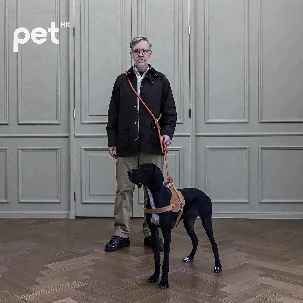 3way Hands Free Leash - Orange HOZI