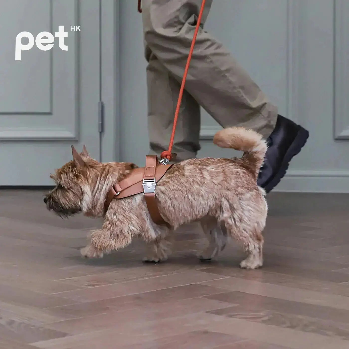 3way Hands Free Leash - Orange HOZI