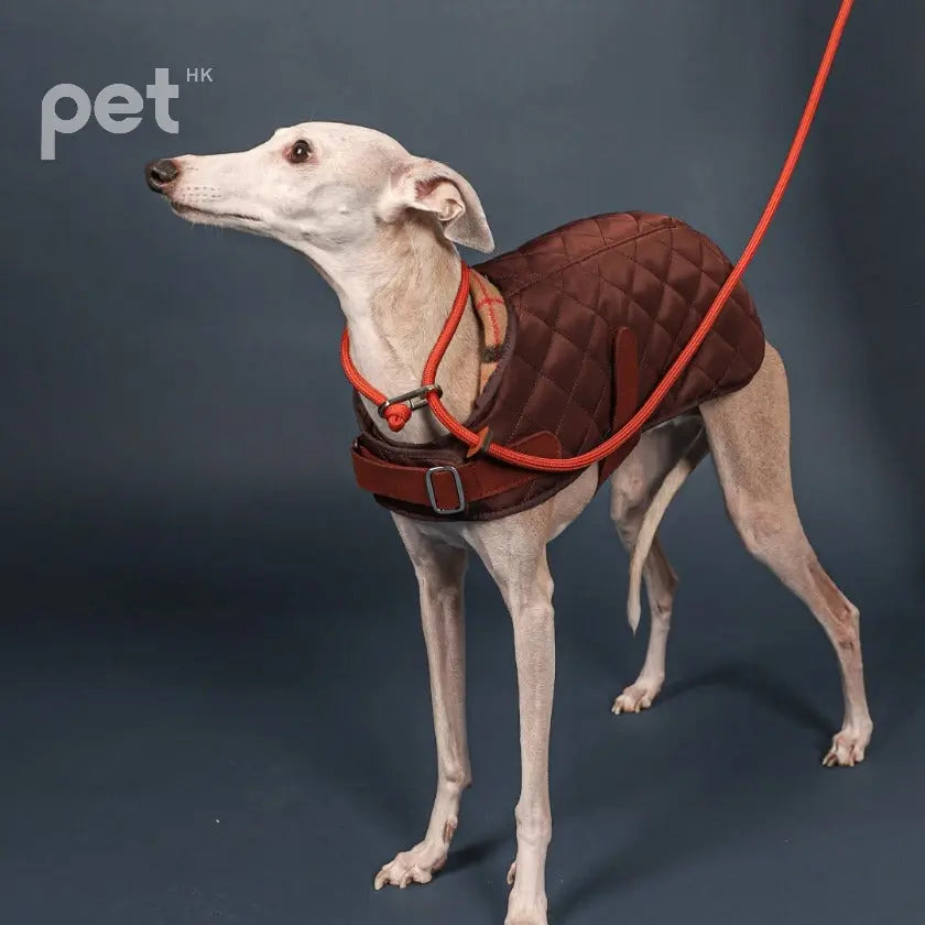 Slip Leash - Black / Beige / Orange / Mustard / Navy / Pink HOZI