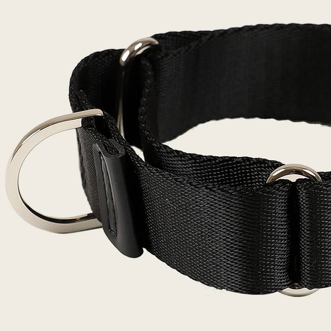 HOZI Collar Martingale