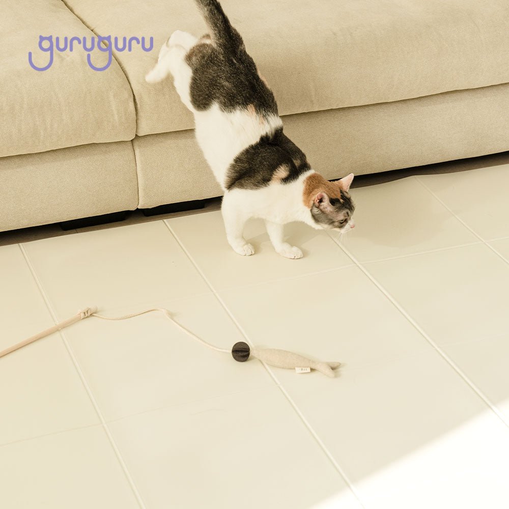 Slim Fit Pet Mat Folding Type - Guruguru - PET
