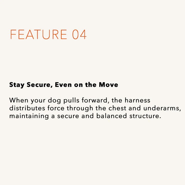 HOZI Harness Horsebit Harness - PET