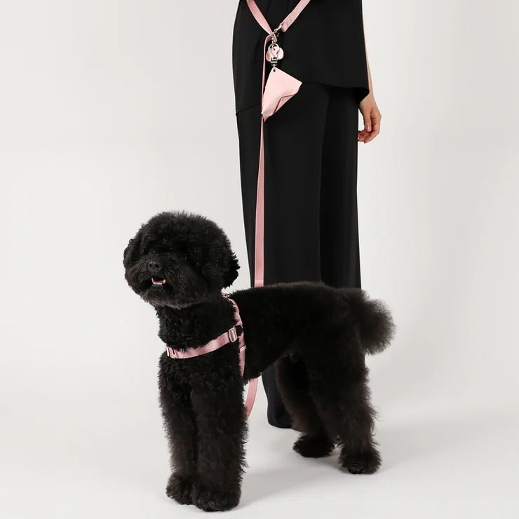 HOZI Harness Horsebit Harness - PET