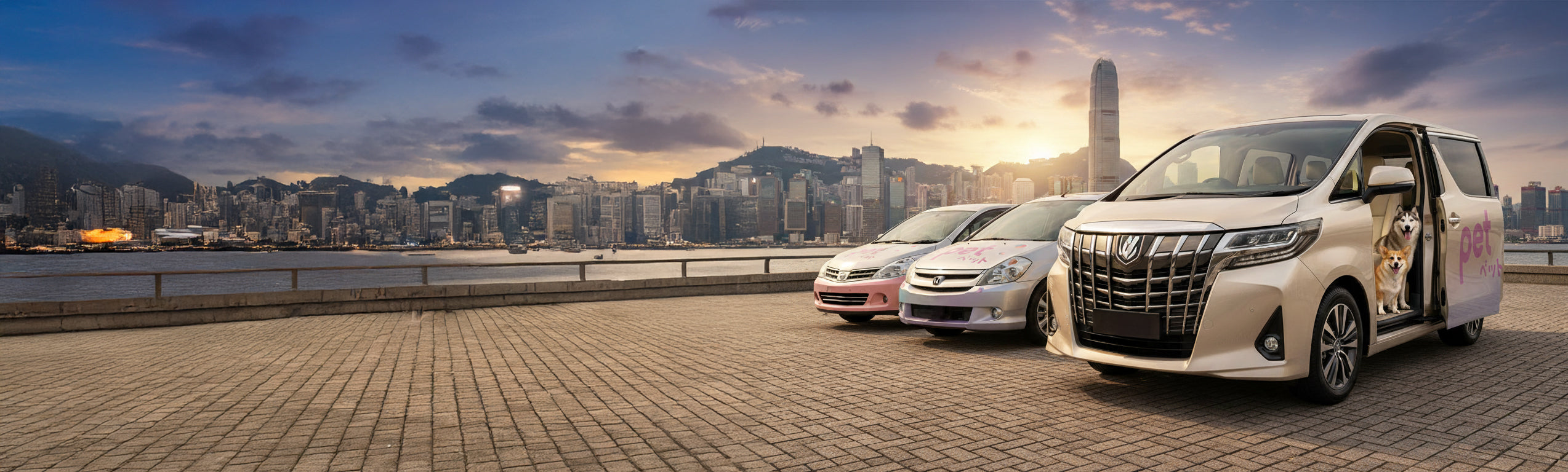 view of the premium pet pickup service vehicle ready for safe transport.