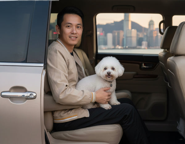A trained pet care professional gently handling a dog during the pickup process.